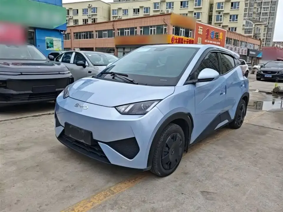 BYD Seagull Smart Drive Edition 305km Vitality Version 2025