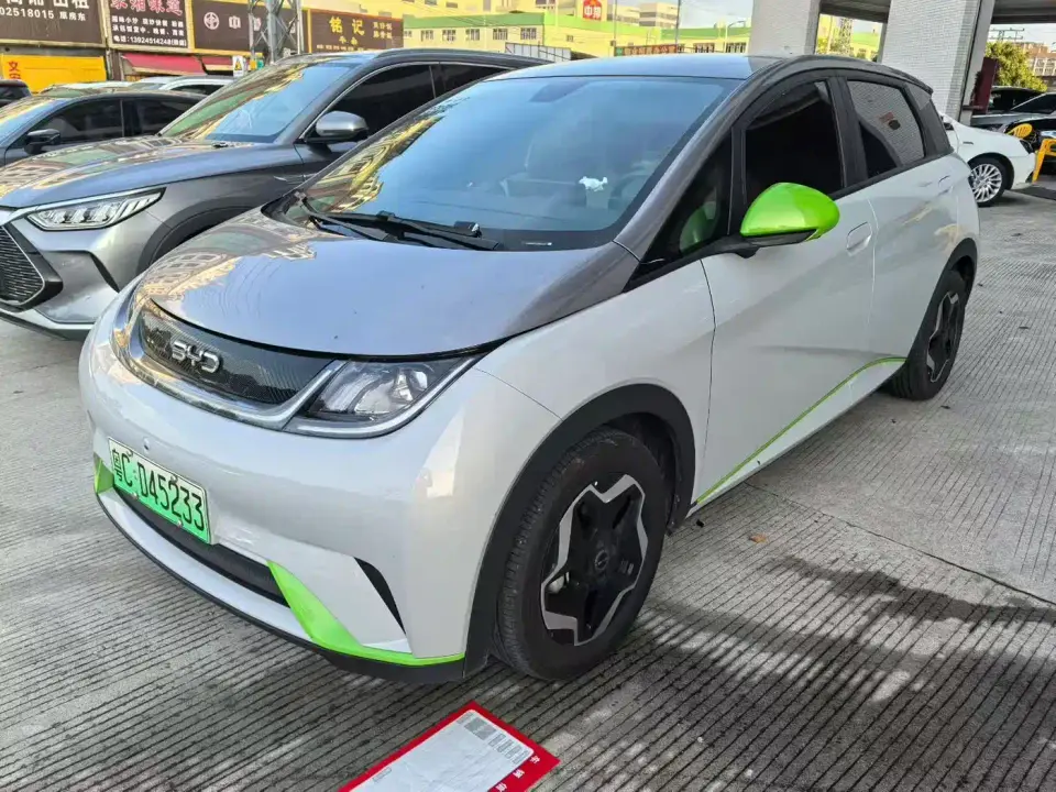BYD Dolphin Model 405km Fashion Edition 2022