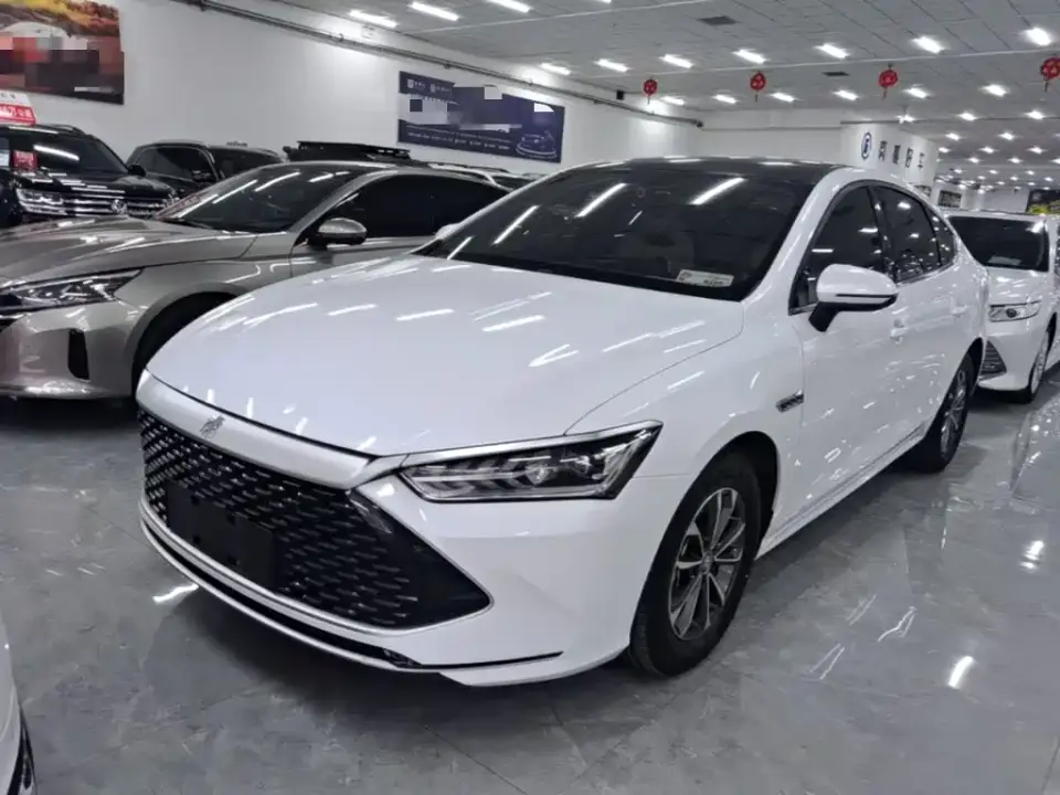 BYD Qin PLUS Champion Edition DM-i 55KM Leading 2023