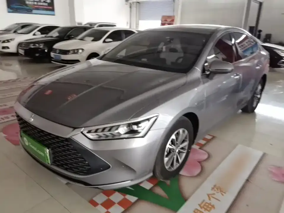 BYD Qin PLUS Glory Edition DM-i 55KM Leading 2024
