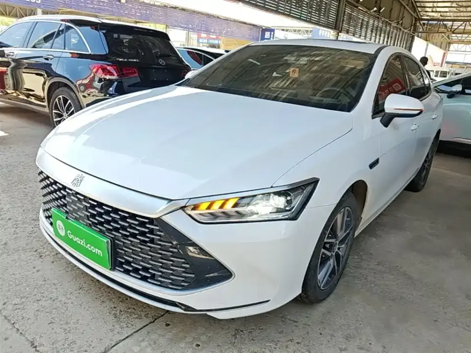 BYD Qin PLUS Champion Edition DM-i 120KM Leading Type 2024