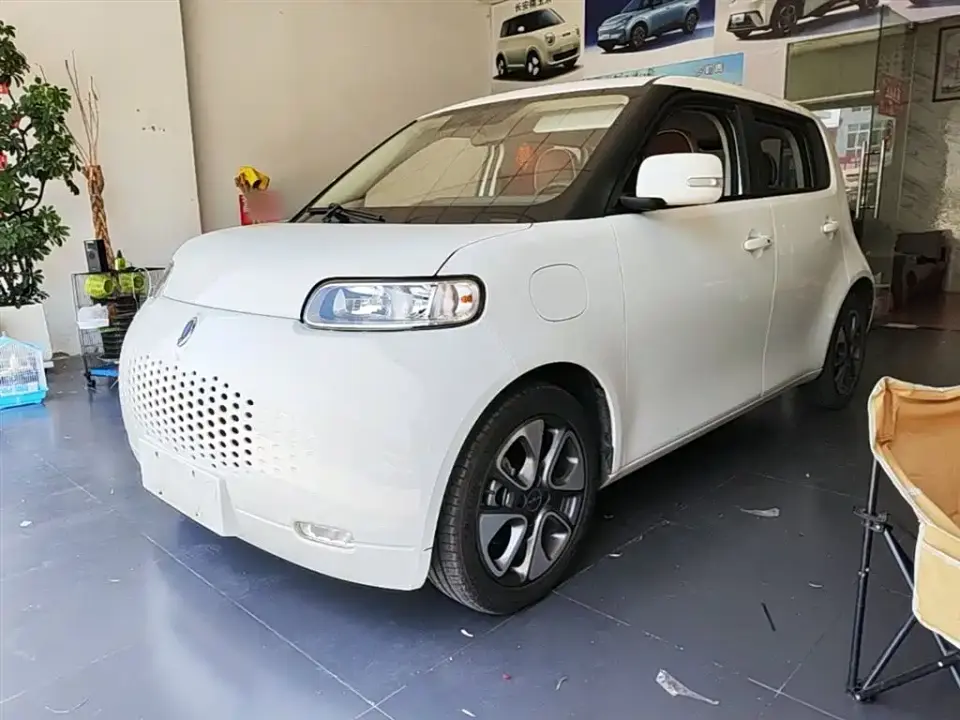 ORA White Cat 305km Luxury 2021