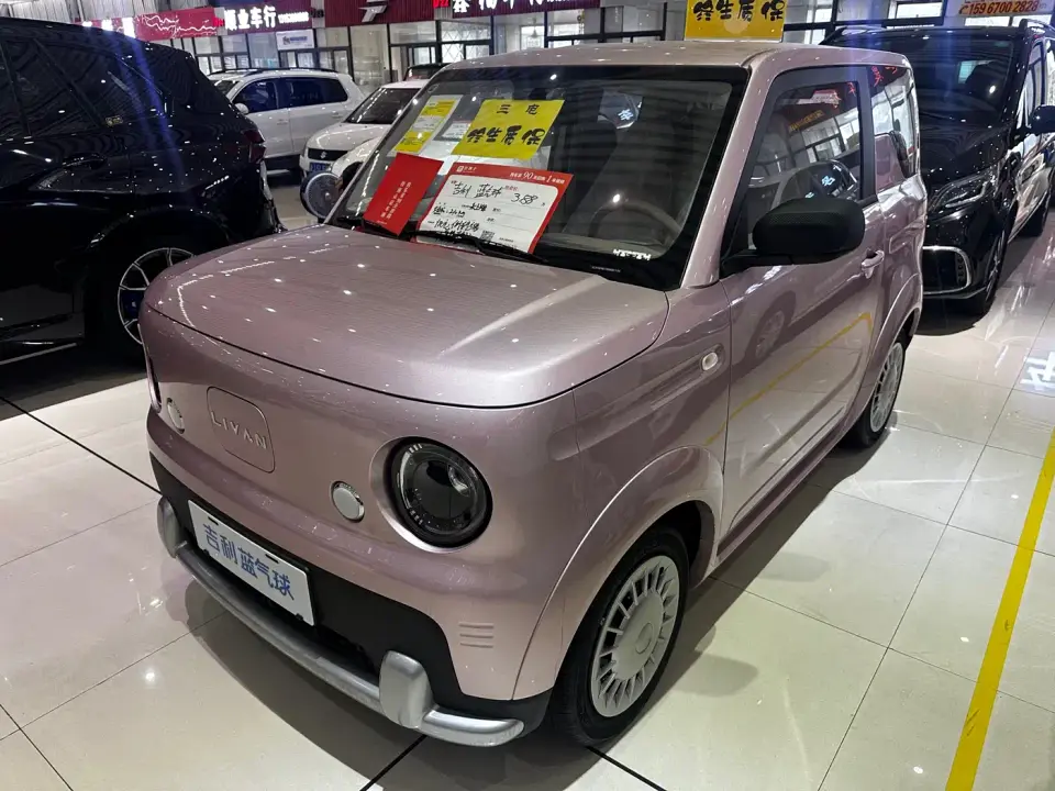 Geely Galaxy Panda Model Year 210km Panda Kart 2026