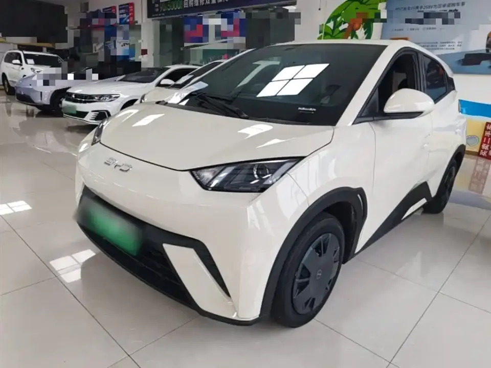 BYD Seagull Glory Edition 305km Vitality Edition 2024