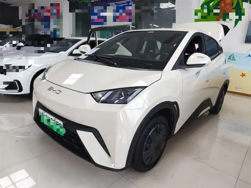 BYD Seagull Glory Edition 305km Vitality Edition 2024