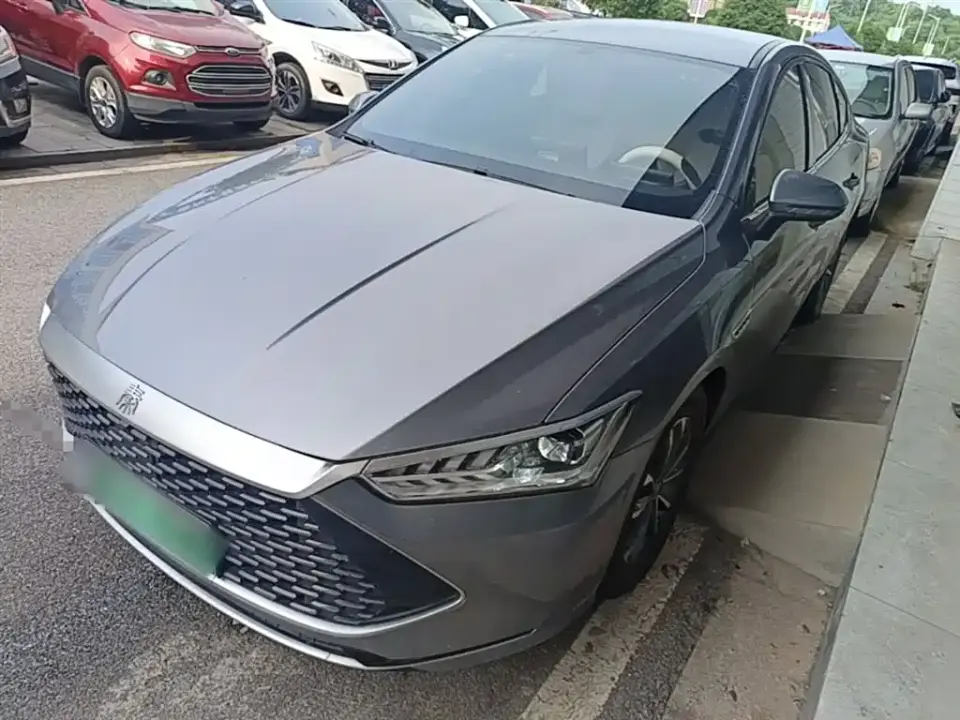 BYD Qin PLUS Champion Edition DM-i 55KM Leading 2024