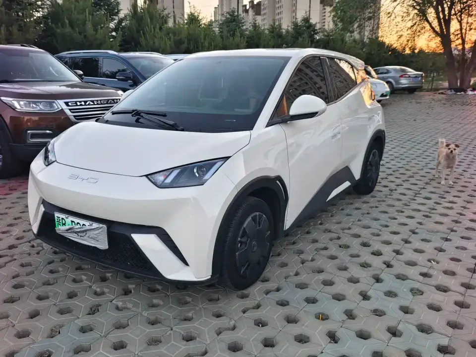 BYD Seagull Vitality Edition 2023