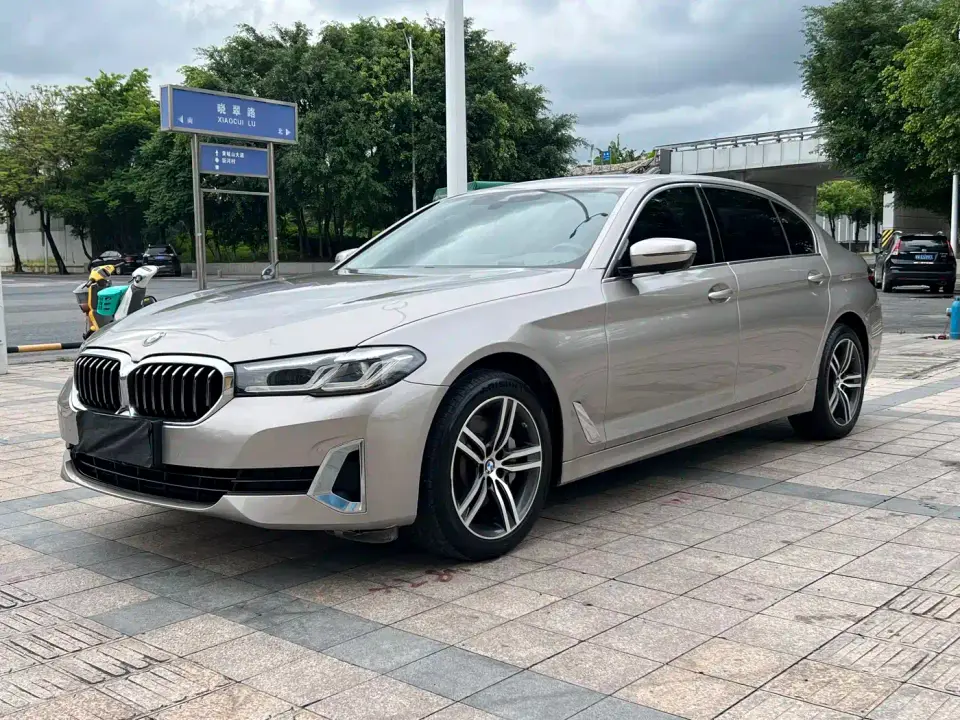 BMW 5 Series 530Li Leading Luxury Package 2020