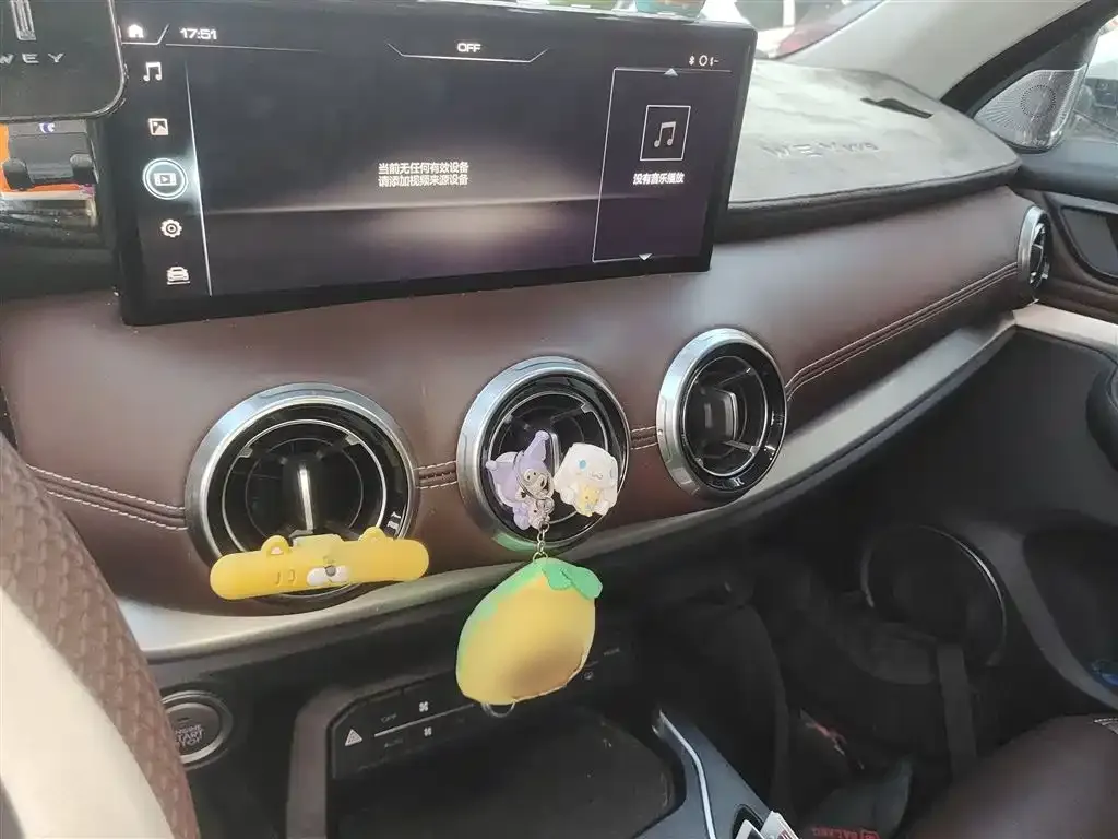 Wey VV6 2.0T 2WD Smart Enjoyment+ 2021 — фото 6