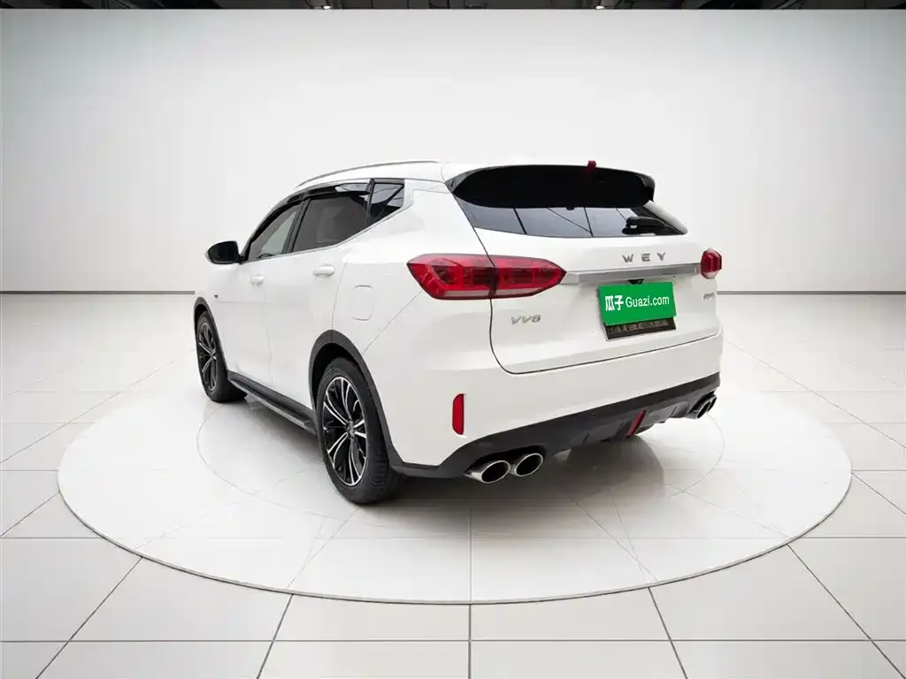 Wey VV6 2.0T 2WD Smart Enjoyment+ 2021 — фото 10