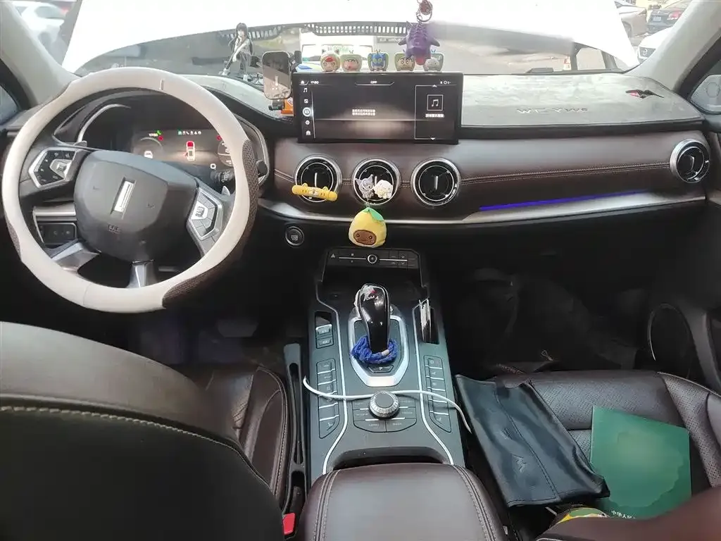 Wey VV6 2.0T 2WD Smart Enjoyment+ 2021 — фото 20