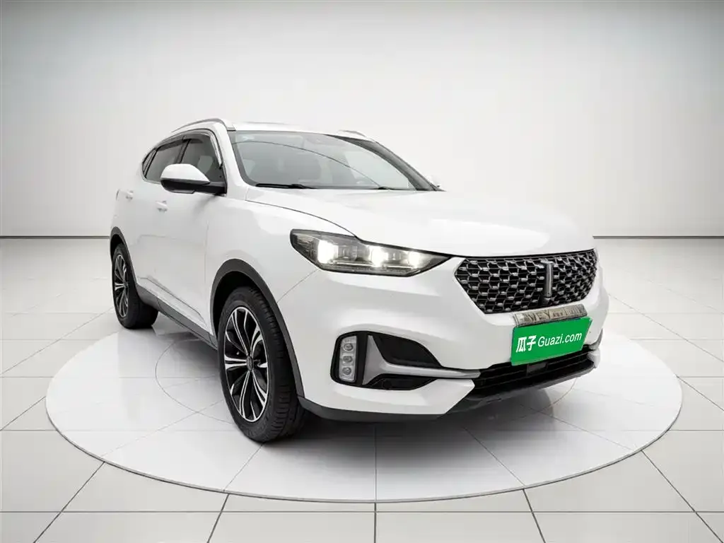 Wey VV6 2.0T 2WD Smart Enjoyment+ 2021 — фото 8