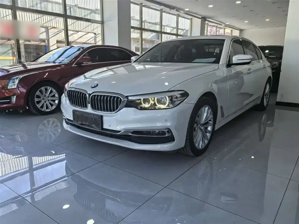BMW 5 Series 525Li Luxury Package 2019