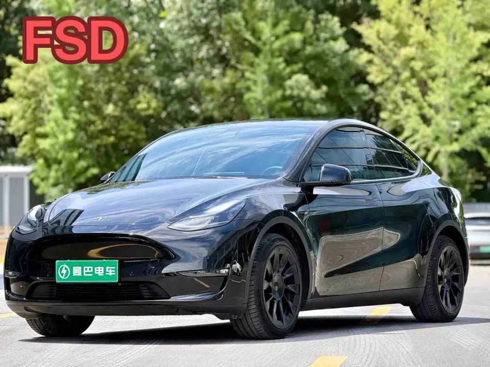 Tesla Model Y Standard Range Rear-Wheel Drive 2021