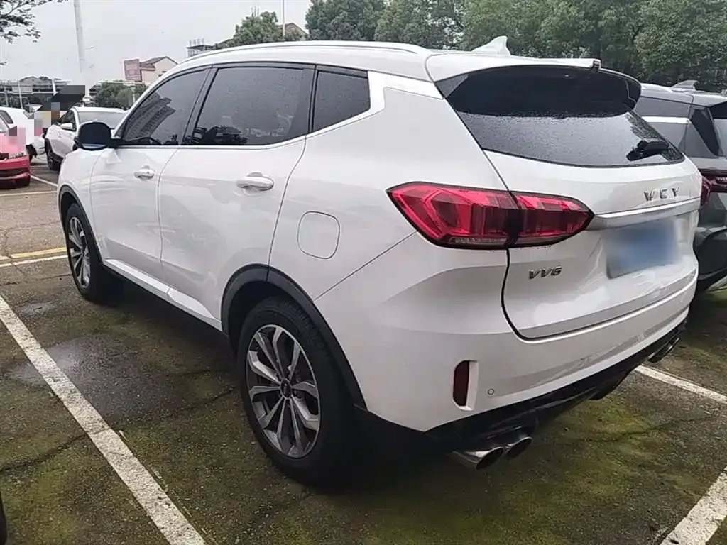 Wey VV6 2.0T 2WD Super Luxury China V 2019 — фото 5