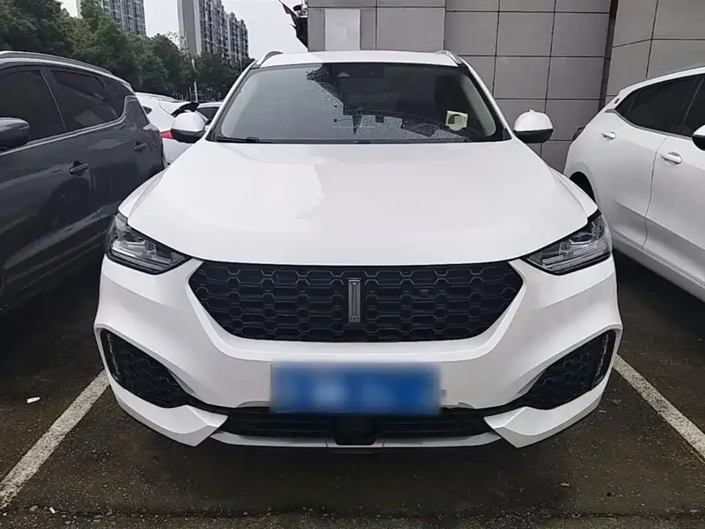 Wey VV6 2.0T 2WD Super Luxury China V 2019 — фото 3