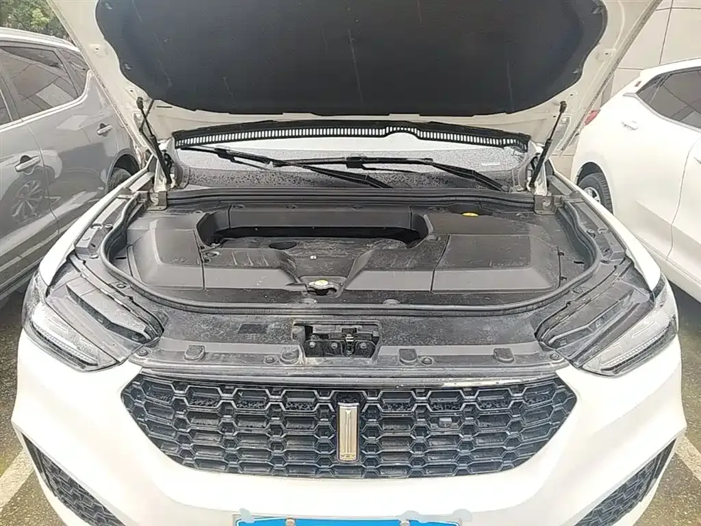 Wey VV6 2.0T 2WD Super Luxury China V 2019 — фото 20