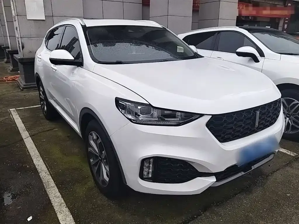 Wey VV6 2.0T 2WD Super Luxury China V 2019 — фото 4