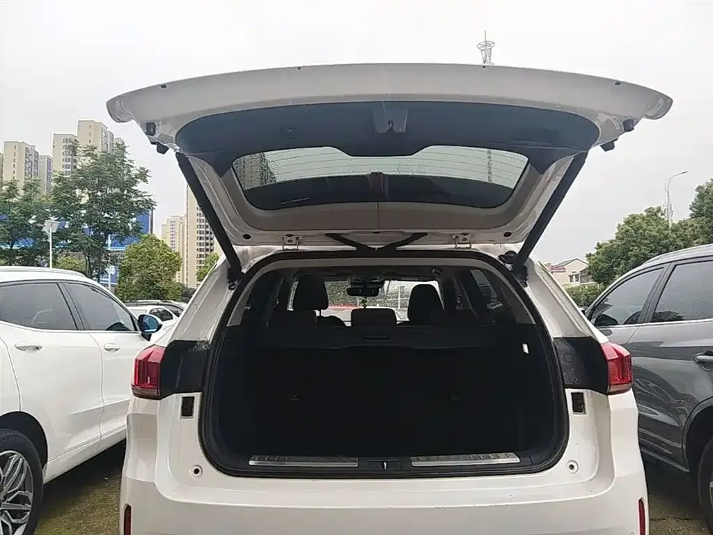 Wey VV6 2.0T 2WD Super Luxury China V 2019 — фото 19