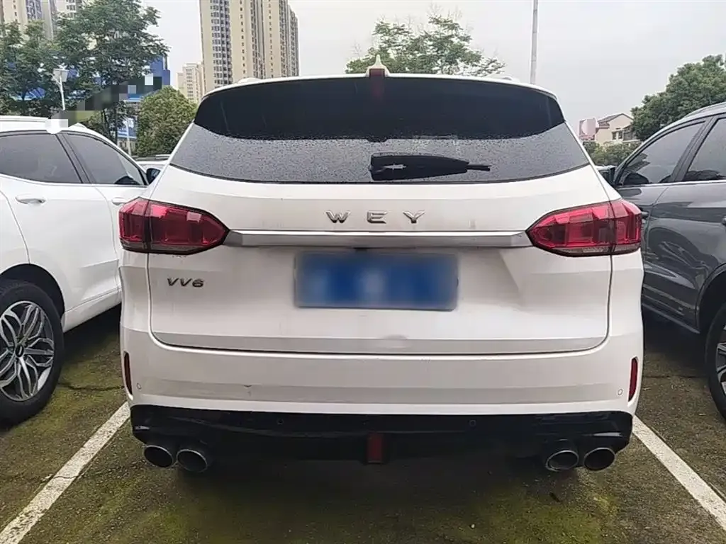 Wey VV6 2.0T 2WD Super Luxury China V 2019 — фото 6