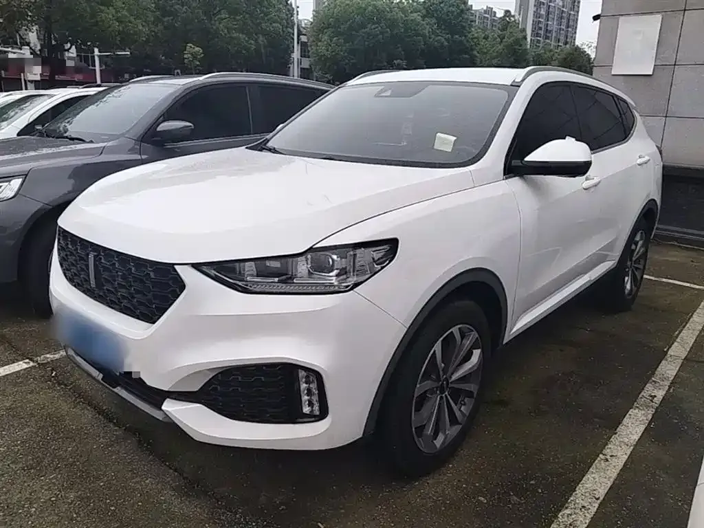 Wey VV6 2.0T 2WD Super Luxury China V 2019 — фото 2
