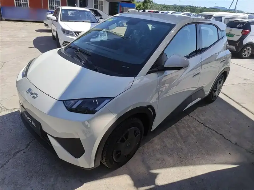 BYD Seagull Smart Drive Edition 305km Vitality Version 2026