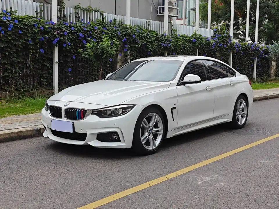 BMW 4 Series 425i Gran Coupe Leading M Sport Package 2019