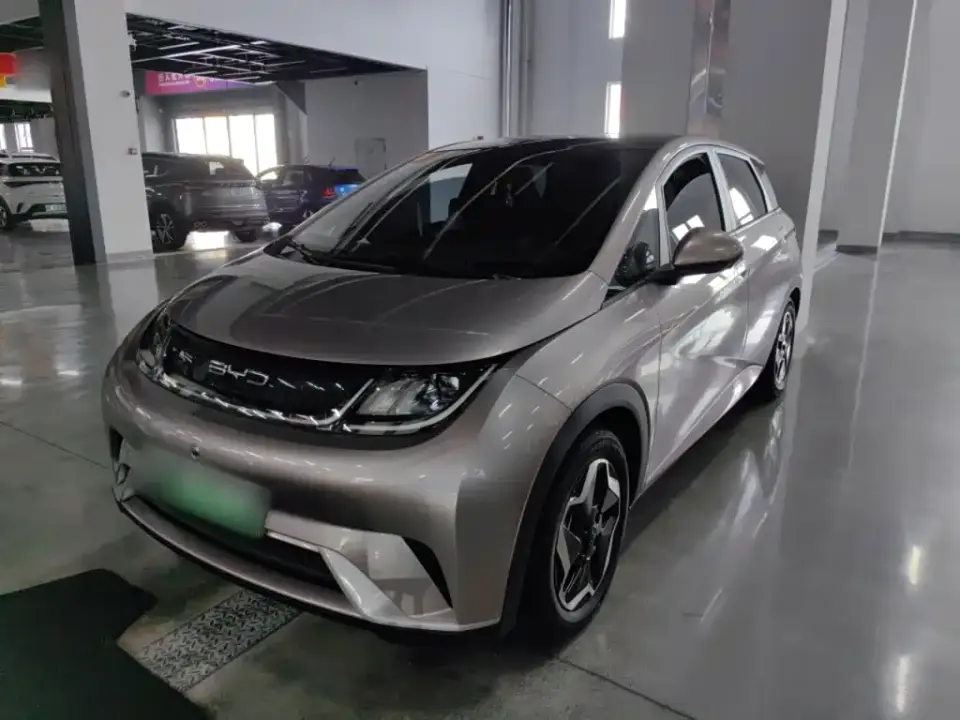 BYD Dolphin Model 405km Fashion Edition 2023