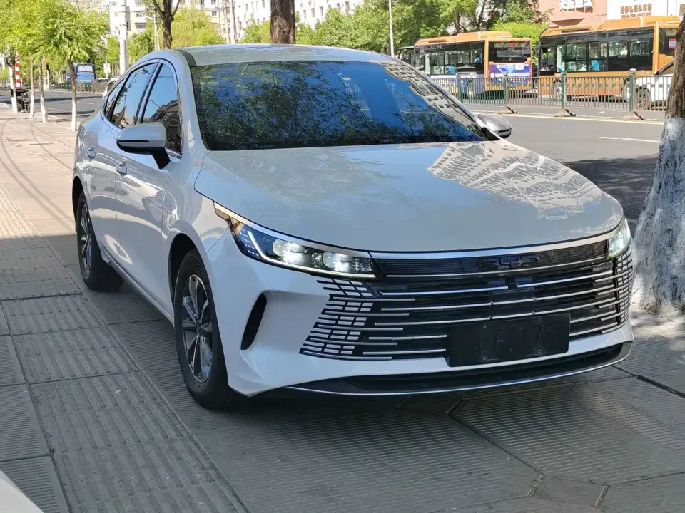 BYD Destroyer 05 Glory Edition DM-i 55KM Luxury 2024