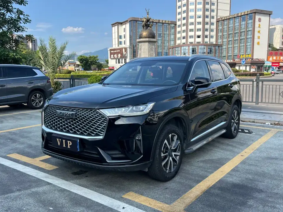 Haval H6 3rd Gen 1.5T Auto 2WD Pro 2021