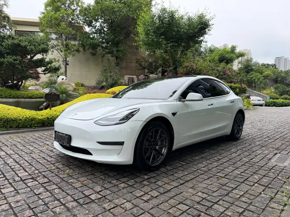 Tesla Model 3 (Import) Long Range All-Wheel Drive Edition 2019