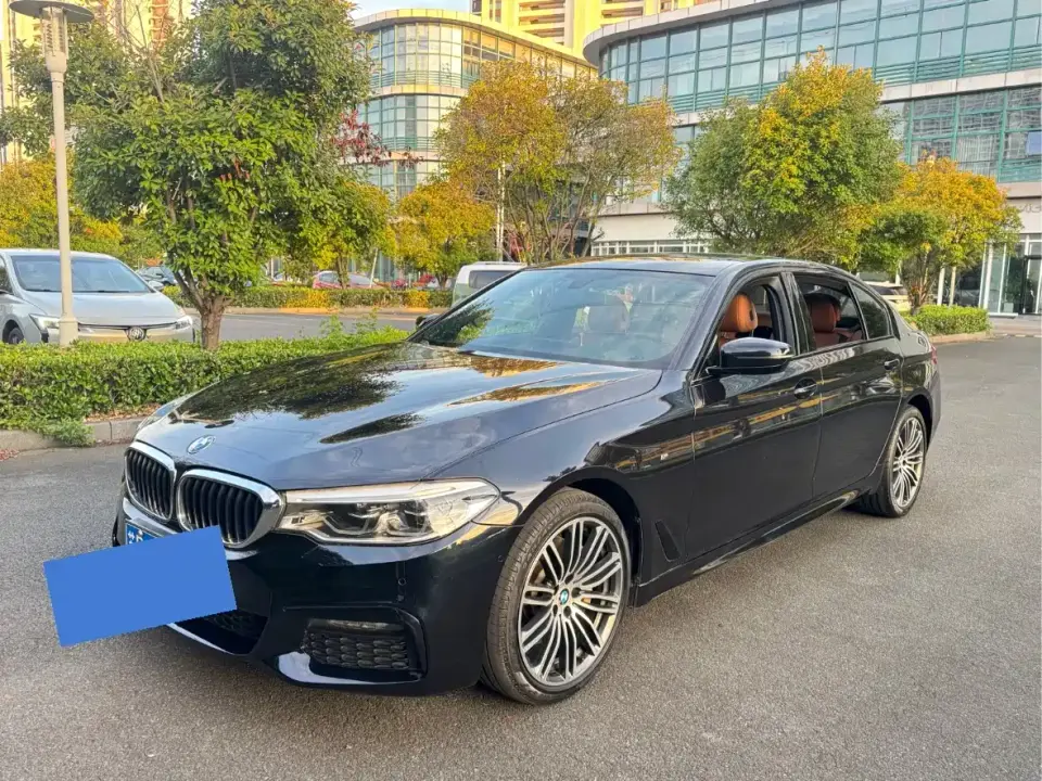 BMW 5 Series 530Li Premium M Sport Package 2019