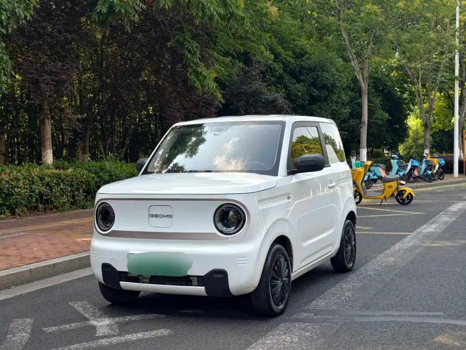 Geely Galaxy Panda Panda Mini 200km Endurance Bear 2023