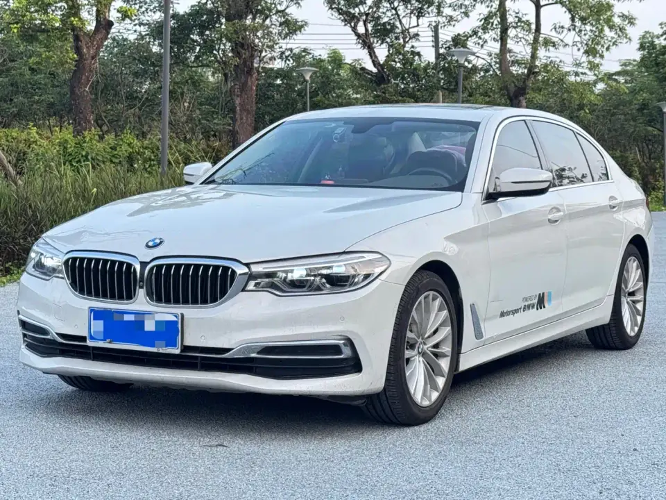 BMW 5 Series 530Li Leading M Sport Package 2020