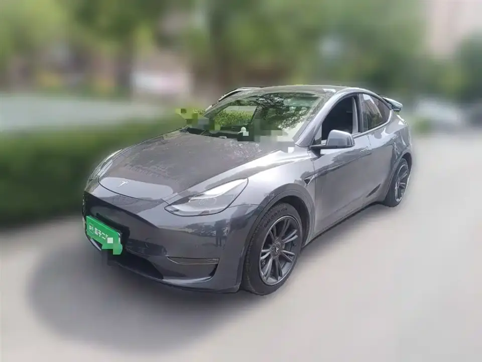 Tesla Model Y Model Long Range AWD 2021