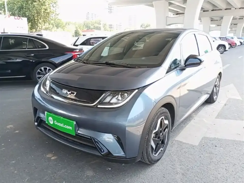 BYD Dolphin 420km Vitality Edition 2025