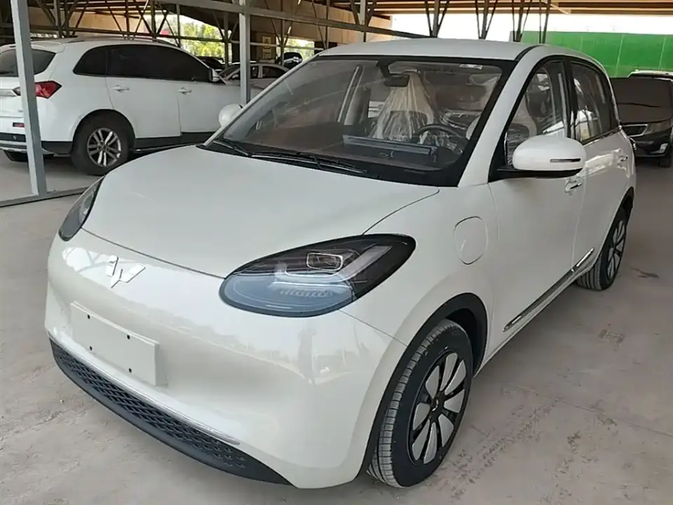 Wuling Motors Wuling Bingo 333km Comfort Edition 2024
