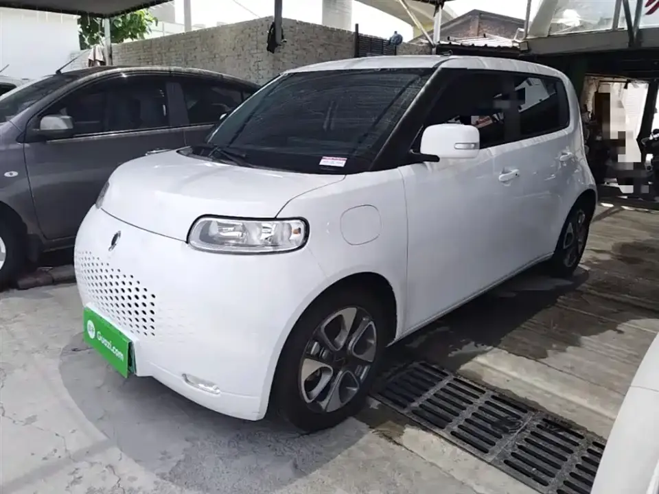 ORA White Cat 305km Luxury 2021
