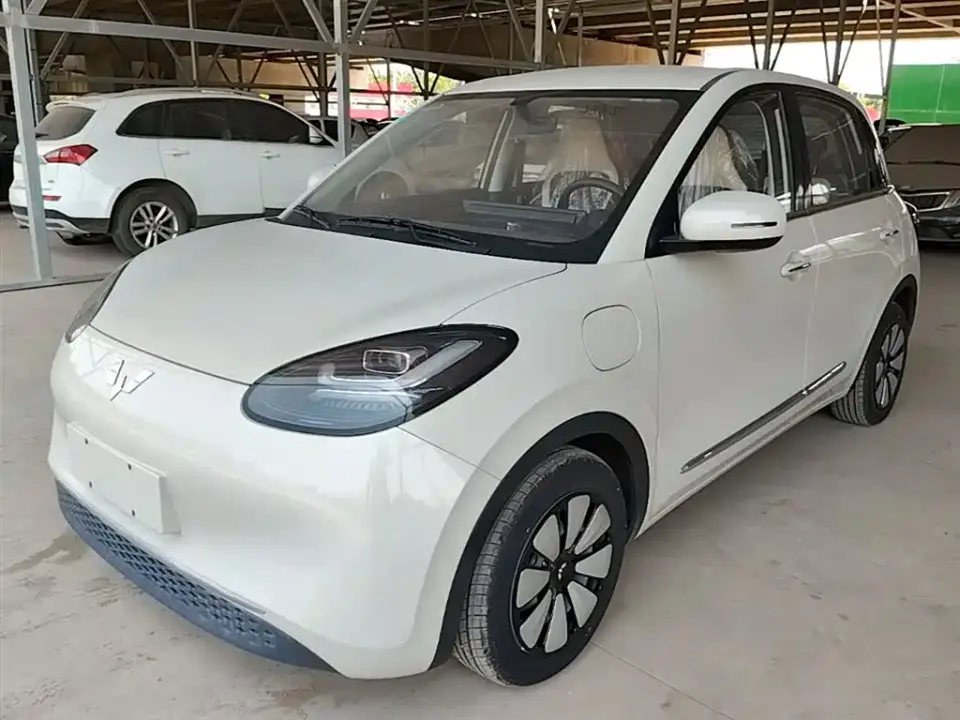 Wuling Motors Wuling Bingo 333km Comfort Edition 2024