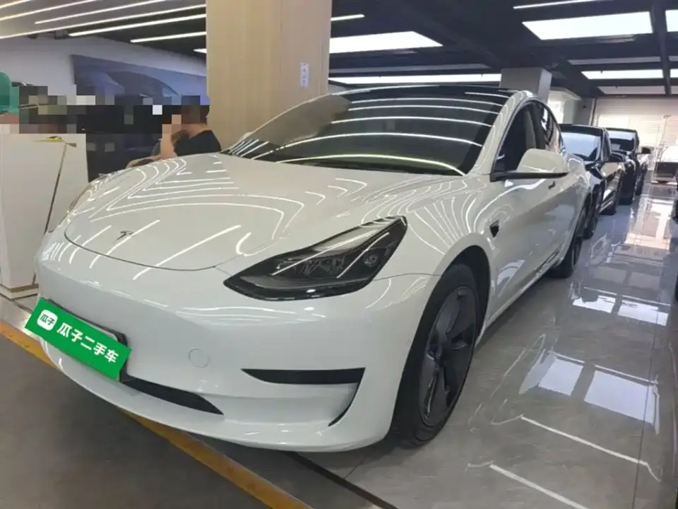 Tesla Model 3 Standard Range Rear-Wheel Drive Upgrade 3D6 2021