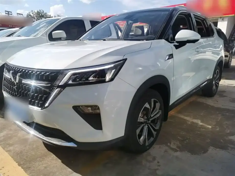 Wuling Motors Wuling Xingchen 2.0L DHT Electric Speed Edition 2023