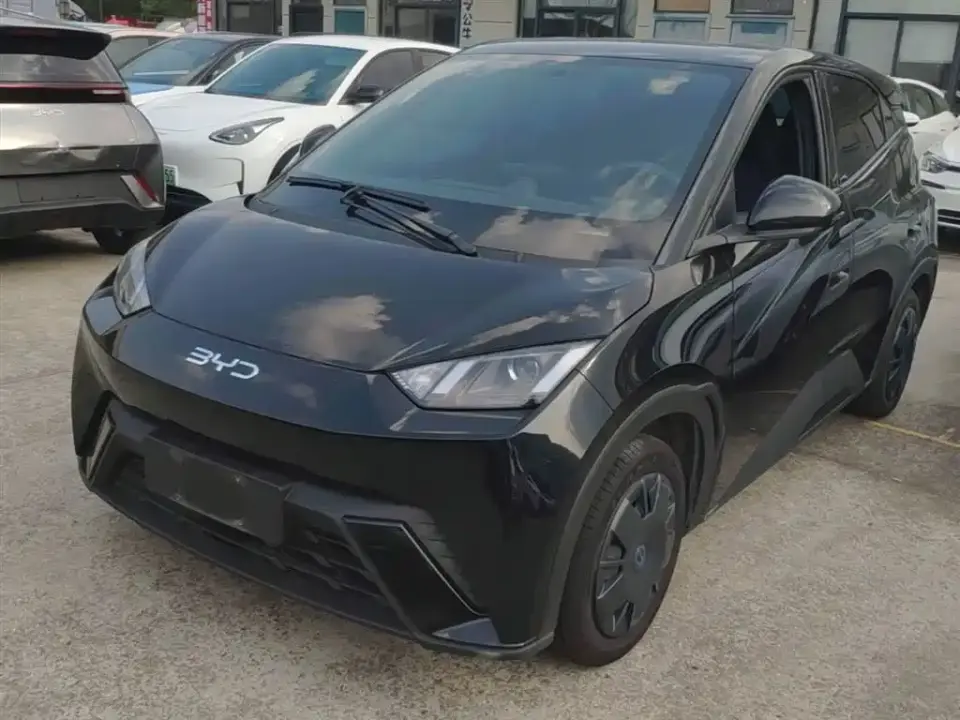 BYD Seagull Glory Edition 305km Vitality Edition 2025