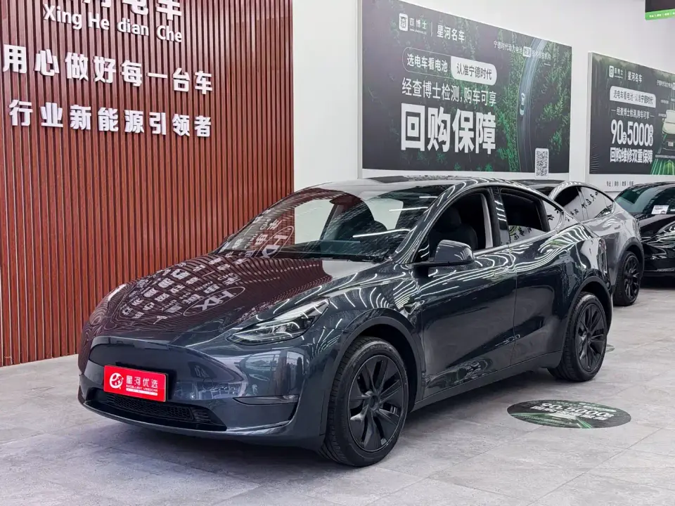 Tesla Model Y Long Range AWD 2024