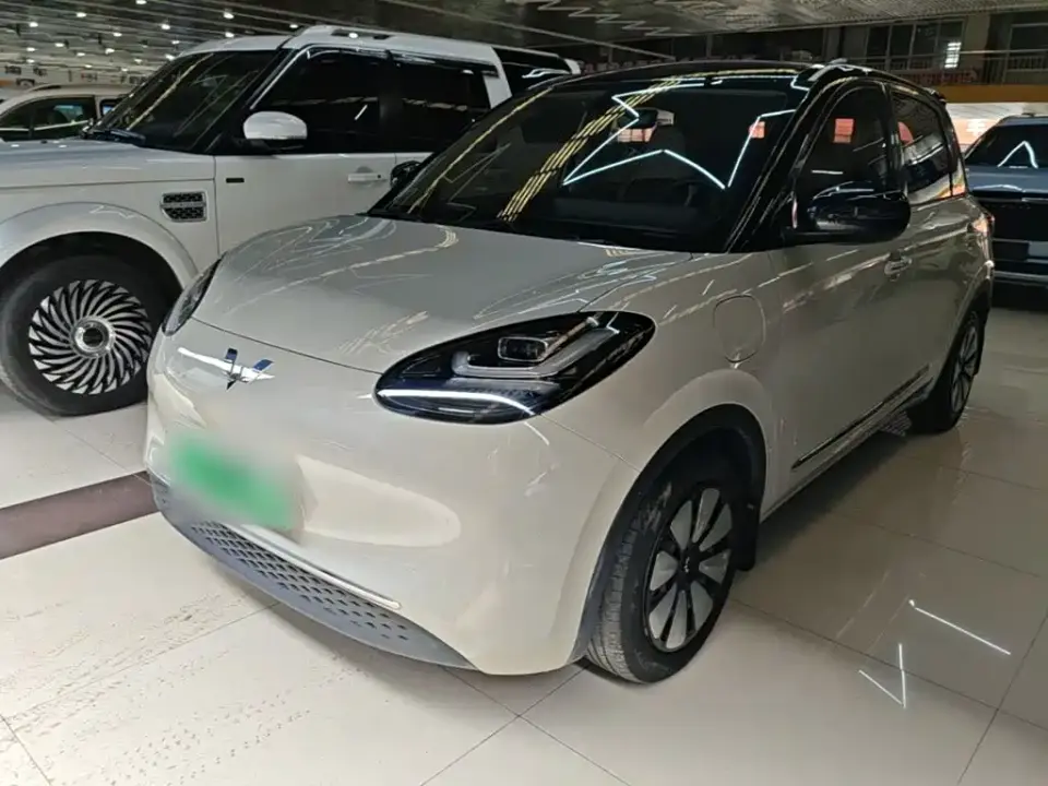Wuling Motors Wuling Bingo 410km Lingxi Premium Edition 2024