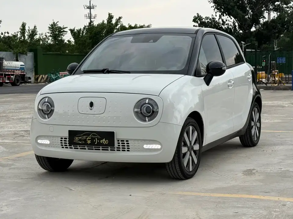 ORA Black Cat 351km Luxury Model 2021