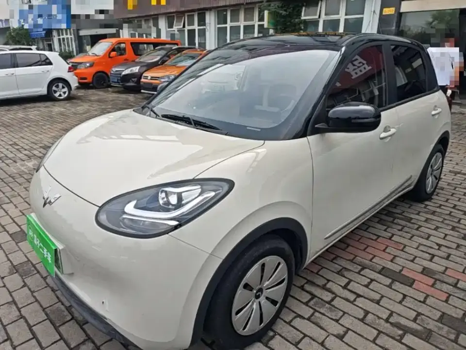 Wuling Motors Wuling Bingo Model 203km Lite Enjoyment Edition 2023