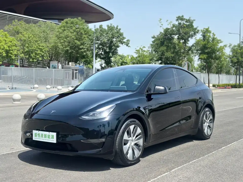Tesla Model Y Standard Range Rear-Wheel Drive 2021