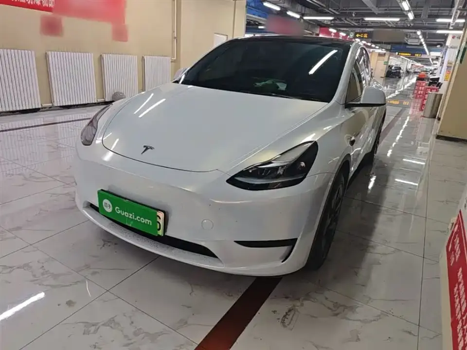 Tesla Model Y Rear-Wheel Drive Version 2024