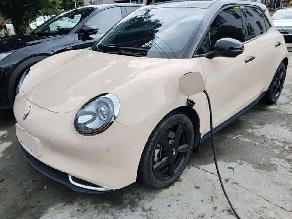 ORA Good Cat 401km Honor 135kW 2024