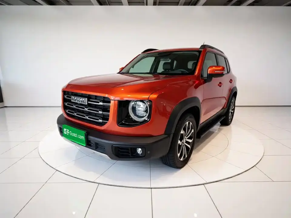 Haval Big Dog 1.5T DCT 2WD Border Collie - Wangcai Edition 2021